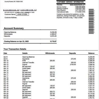 Pakistan Meezan Bank Limited account statement Word and PDF template download template file
