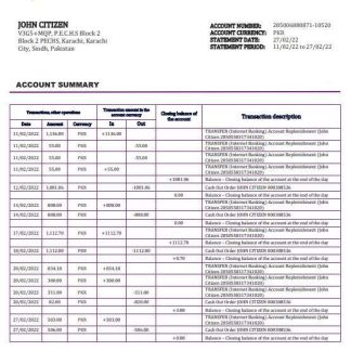 Pakistan Meezan bank statement template in Word and PDF format download template file
