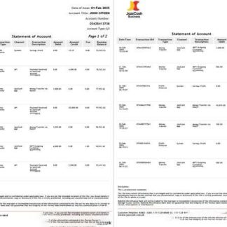 Pakistan Mobilink Microfinance Bank statement of account Word and PDF template, 2 pages download template file