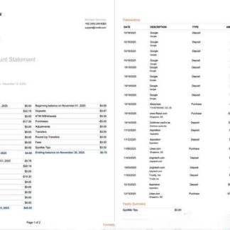Pakistan Mobilink Microfinance Bank statement of account Word and PDF template, 2 pages, version 2 download template file