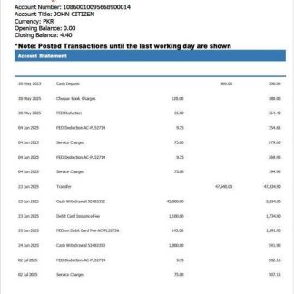 Pakistan Myabl account statement Word and PDF template download template file