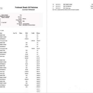 Pakistan National Bank of Pakistan account statement Word and PDF template, 2 pages download template file