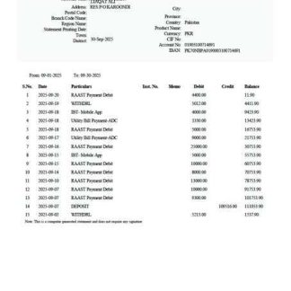 Pakistan National Bank of Pakistan account statement Word and PDF template download template file