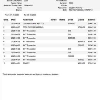 Pakistan National Bank of Pakistan account statement Word and PDF template, version 2 download template file