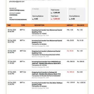 Pakistan NayaPay account statement Word and PDF template download template file