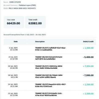 Pakistan SadaPay account statement Word and PDF template download template file