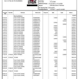 Pakistan Silkbank account statement Word and PDF template download template file