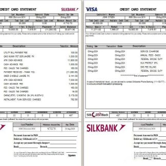 Pakistan Silkbank statement Word and PDF template, 2 pages download template file