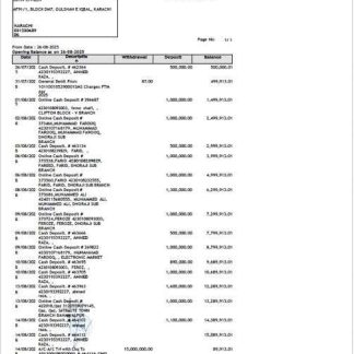 Pakistan Soneri Bank statement of account Word and PDF template download template file