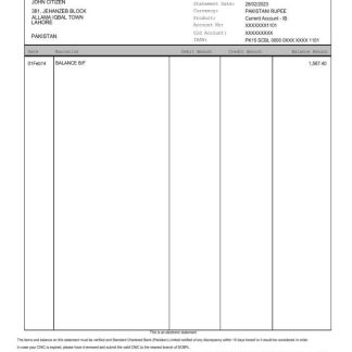 Pakistan Standard Chartered bank statement Word and PDF template scr download template file