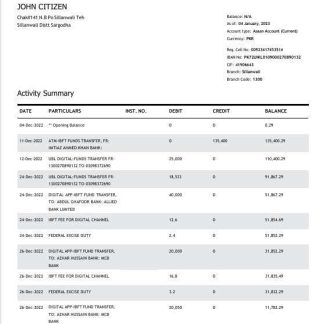 Pakistan UBL bank statement Word and PDF template, 2 pages download template file