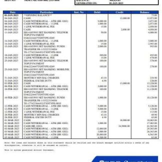 Pakistan UBL bank statement Word and PDF template download template file