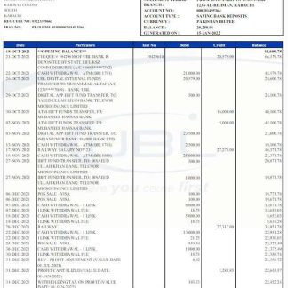 Pakistan UBL bank statement Word and PDF template scr download template file