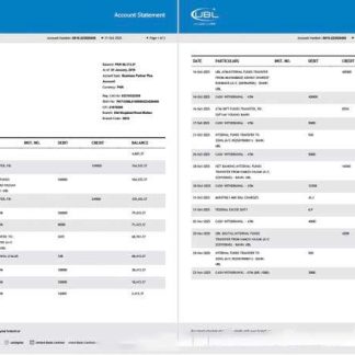 Pakistan United Bank Limited account statement Word and PDF template, 2 pages download template file