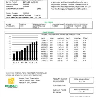 Panama Nexsun Power Corporation electricity utility bill Word and PDF template download template file