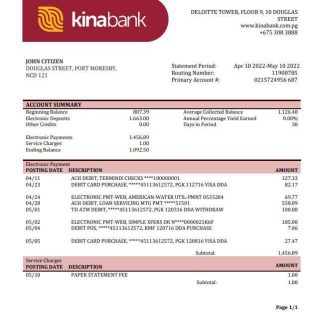 Papua New Guinea Kina Securities Limites bank statement download template file