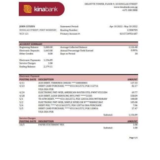 Papua New Guinea Kina Securities Limites bank statement Excel and PDF template download template file