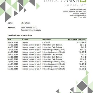 Paraguay Banco Continental S.A.E.C.A. bank statement download template file