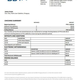 Paraguay BBVA bank statement download template file