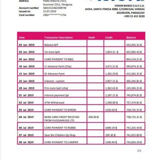 Paraguay Vision Banco bank statement download template file
