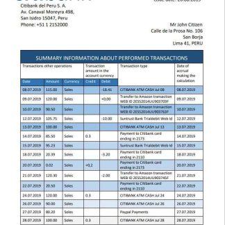 Peru Citibank bank statement easy to fill template in Word and PDF format download template file