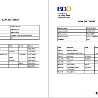 Philippines BDO Bank account statement Word and PDF template, 2 pages download template file