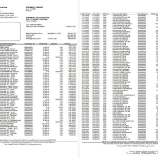 Philippines PNB bank st download template file