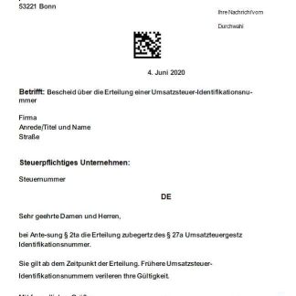 Philippines Tonik Digital Bank Inc. consolidated statement, 2 pages, SCR download template file