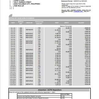 Philippines UCPB bank statement of account template in Excel and PDF format download template file
