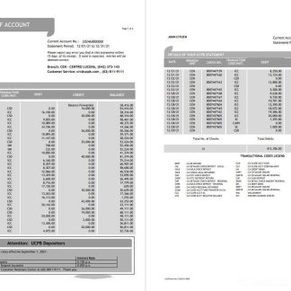Philippines UCPB bank statement of account template in Word and PDF format download template file
