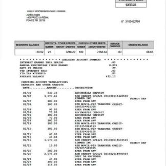 Puerto Rico 1 First Bank statement of account Word and PDF template download template file