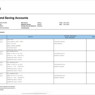 Qatar QNB Alahli bank statement 3 ?C 6 months Word and PDF example, version 2 download template file