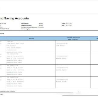 Qatar QNB ALAHLI bank statement Word and PDF template scr download template file