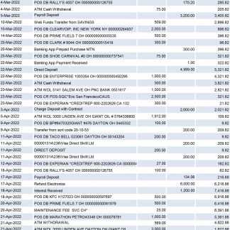 real 30 random bank transactions Excel and PDF template download template file
