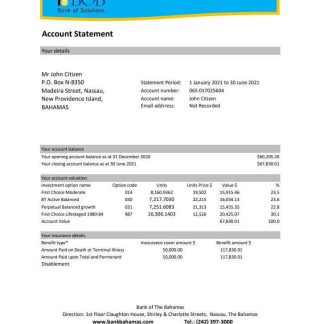 Bahamas Bank of the Bahamas bank statement easy to fill template in .xls and .pdf file format download template file