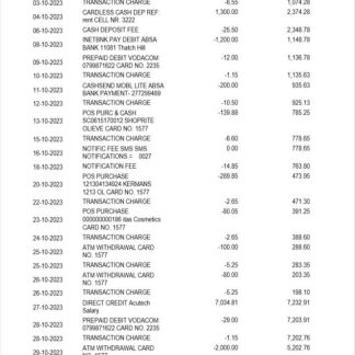 Albania ProCreditBank bank statement Word and PDF template, 3 pages 2 download template file