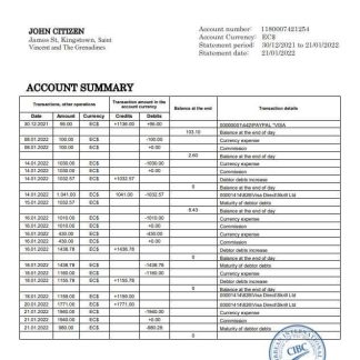 Saint Vincent and The Grenadines First Caribbean International Bank download template file