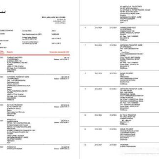 Saudi Arabia SABB Bank statement Word and PDF template, 2 pages download template file