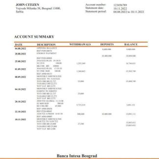 Serbia Banca Intesa bank statement download template file