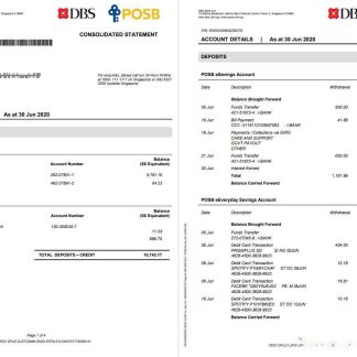 Singapore DBS bank proof of address statement template in Word and PDF format, 4 pages download template file