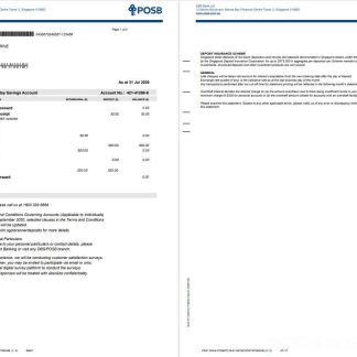 Singapore DBS bank statement template in Word and PDF format, 2 pages download template file