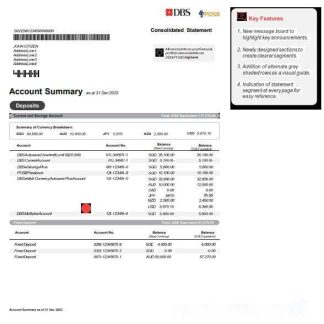 Singapore DBS bank statement Word and PDF template, version 2 download template file