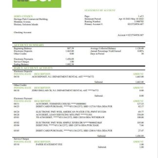 Solomon Islands BSP bank statement download template file