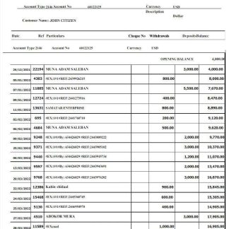 SOMALI SALAAM SOMALI bank statement Word and PDF template download template file