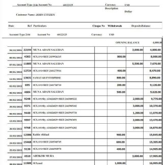 Somali Salaam Somali bank statement Word and PDF template w download template file
