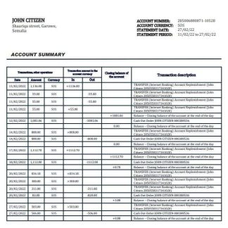 Somalia Amal bank statement download template file