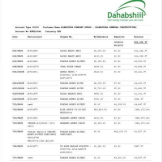 Somalia Dahabshiil Bank International account statement Word and PDF template download template file