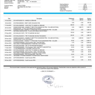 Somalia Dahabshil Bank International bank statement Word and PDF template download template file