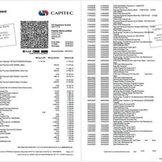South Africa Capitec Bank account statement Word and PDF template, 2 pages download template file