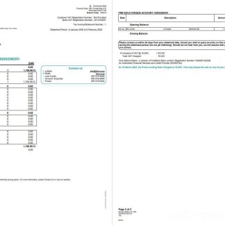 South Africa FNB bank statement 2 pages download template file